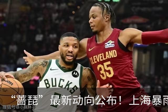 “蔷琵”最新动向公布！上海暴雨、大风蓝色预警持续生效，大桥、高速限速，部分列车停运！新台风“烟花”生成！