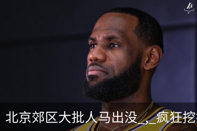 北京郊区大批人马出没 , 疯狂挖掘神秘“黑疙瘩” , 因滥采已岌岌可危