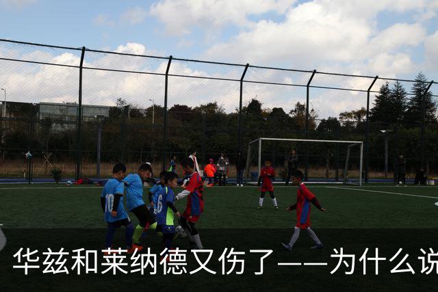 华兹和莱纳德又伤了——为什么说又？
