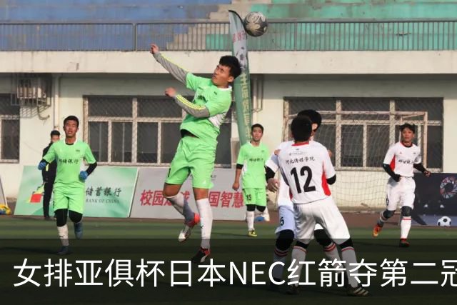 女排亚俱杯日本NEC红箭夺第二冠 佐藤淑乃荣膺MVP