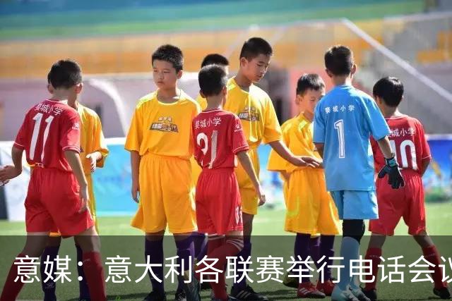 意媒：意大利各联赛举行电话会议，讨论下一任意足协主席人选