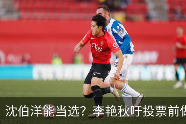 沈伯洋能当选？李艳秋吁投票前做好“三不”：一不看民调、二不看造势、三不看政论