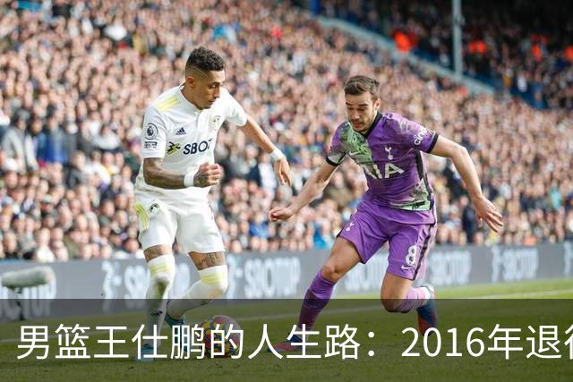 男篮王仕鹏的人生路：2016年退役后专注解说，如今已成为大学教授