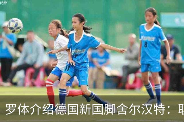 罗体介绍德国新国脚舍尔汉特：职业生涯起步不顺；伊镇关注他
