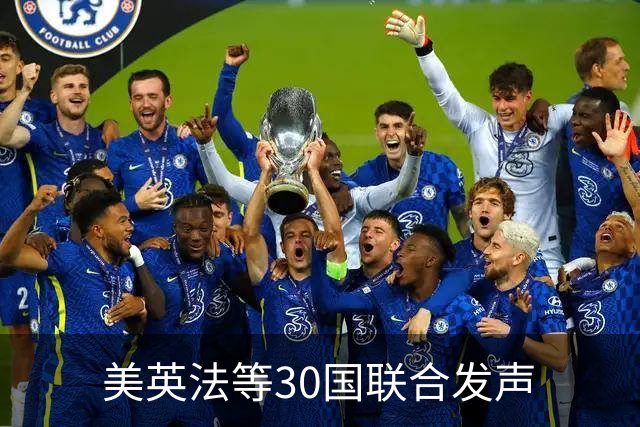 美英法等30国联合发声