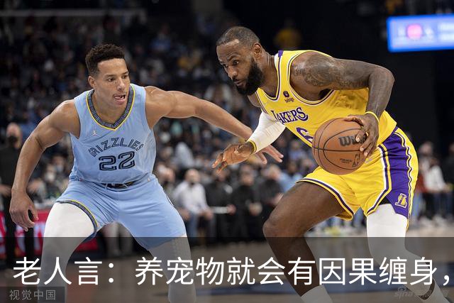 老人言：养宠物就会有因果缠身，这3件事养猫人需要知的冥界规则