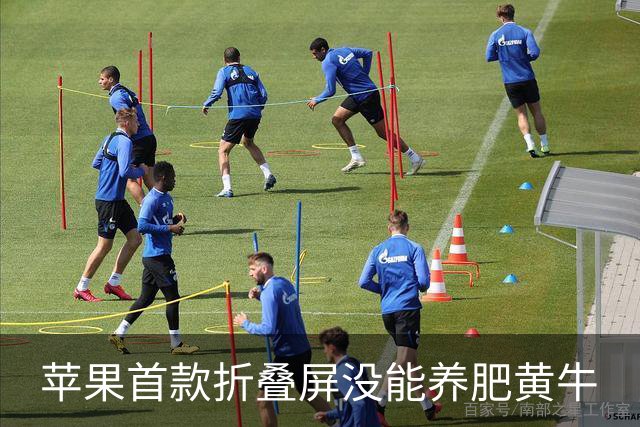 苹果首款折叠屏没能养肥黄牛