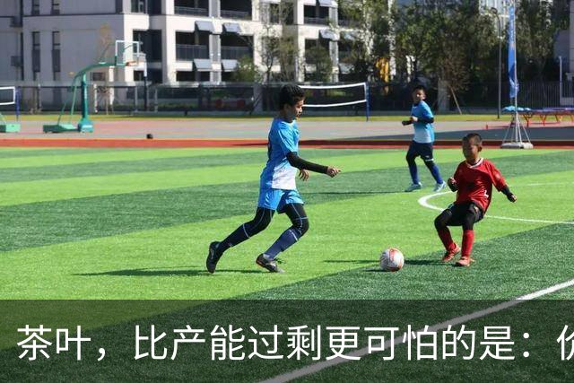 茶叶，比产能过剩更可怕的是：价格虚高，老百姓消费不起茶！