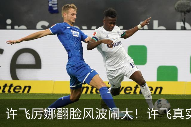 许飞厉娜翻脸风波闹大！许飞真实人品曝光，路人口碑全面崩盘