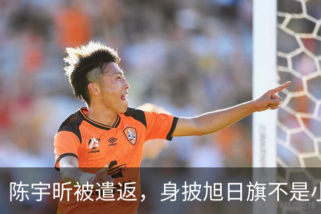 陈宇昕被遣返，身披旭日旗不是小事，网友呼吁查三代